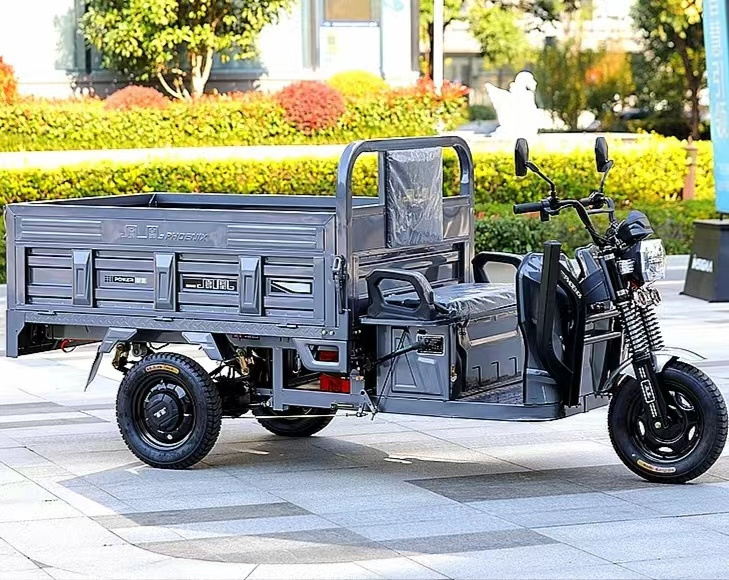 Brand new Agriculture Motorcycle Bicycle 3 Wheels Tricycle Adult Electric China Pickup Truck with high quality