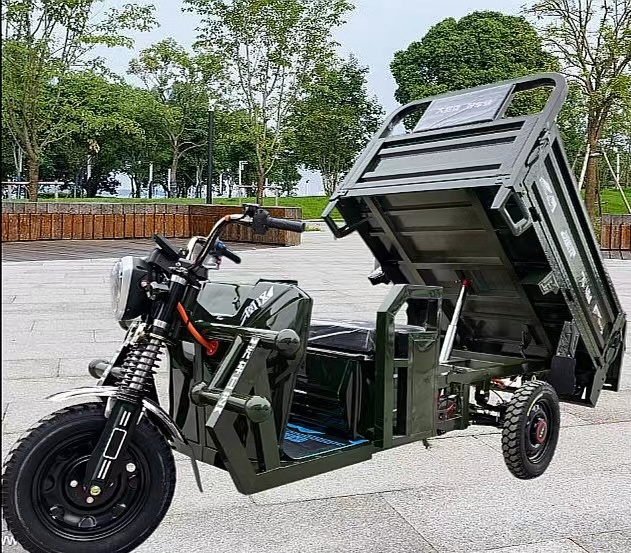 New design Motorcycles Reverse Trike Three Wheel Cargo E Bike Scooter Vehicle Tricycle Bicycle Motorcycle Electric