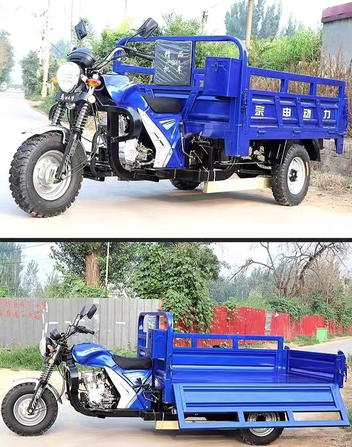 Hot selling Trike Cargo Fuel Gasoline Motorized Tricycle Led Advertising Truck with low price