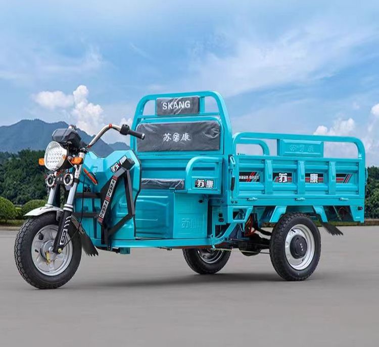 Hot selling Trike Cargo Fuel Gasoline Motorized Tricycle Led Advertising Truck with low price