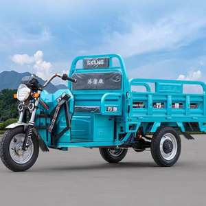 Hot selling Trike Cargo Fuel Gasoline Motorized Tricycle Led Advertising Truck with low price