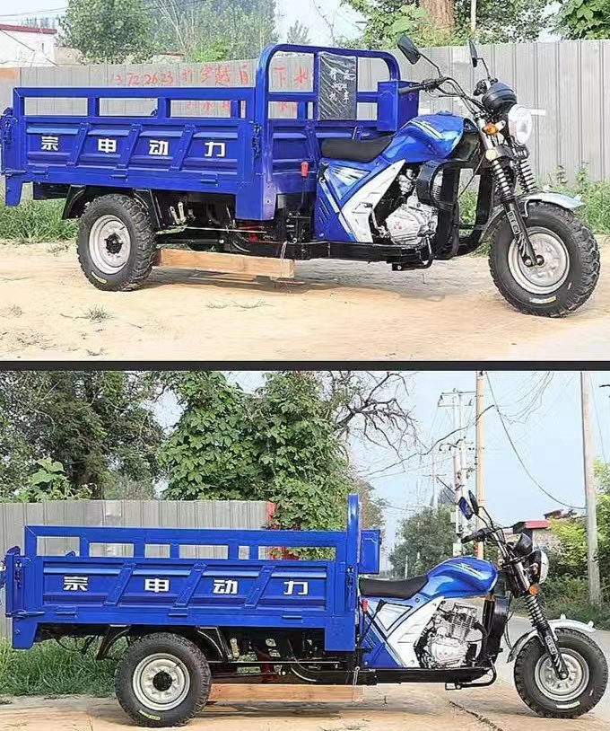 Hot selling Trike Cargo Fuel Gasoline Motorized Tricycle Led Advertising Truck with low price