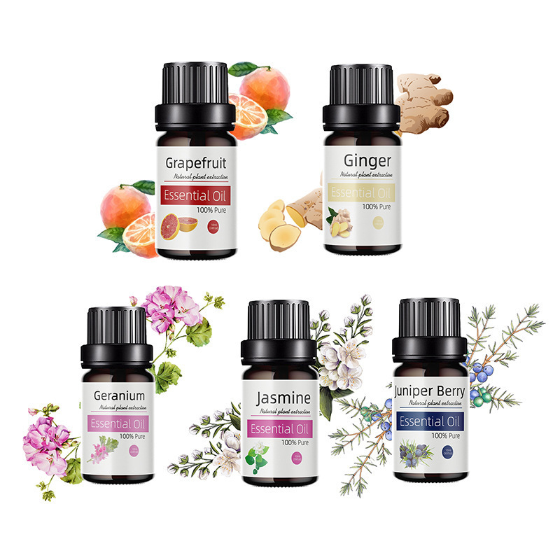 Confidante Hotel Hamidi Fragrance Oil Pumpkin Stick Wooden Essential Oil Diffuser Fruity Rings Custom Fragrance Oil