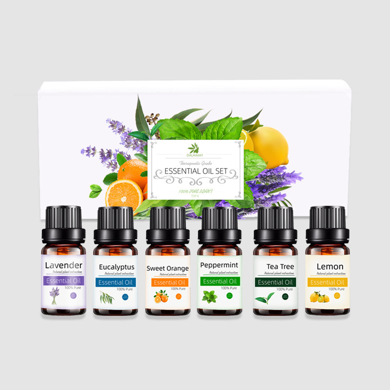 Confidante Hotel Hamidi Fragrance Oil Pumpkin Stick Wooden Essential Oil Diffuser Fruity Rings Custom Fragrance Oil