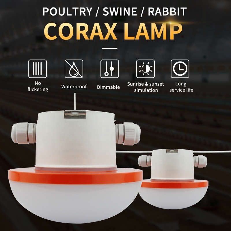 dimmable led bulbs Ip67 poultry lighting for poultry house poultry farm bulb light