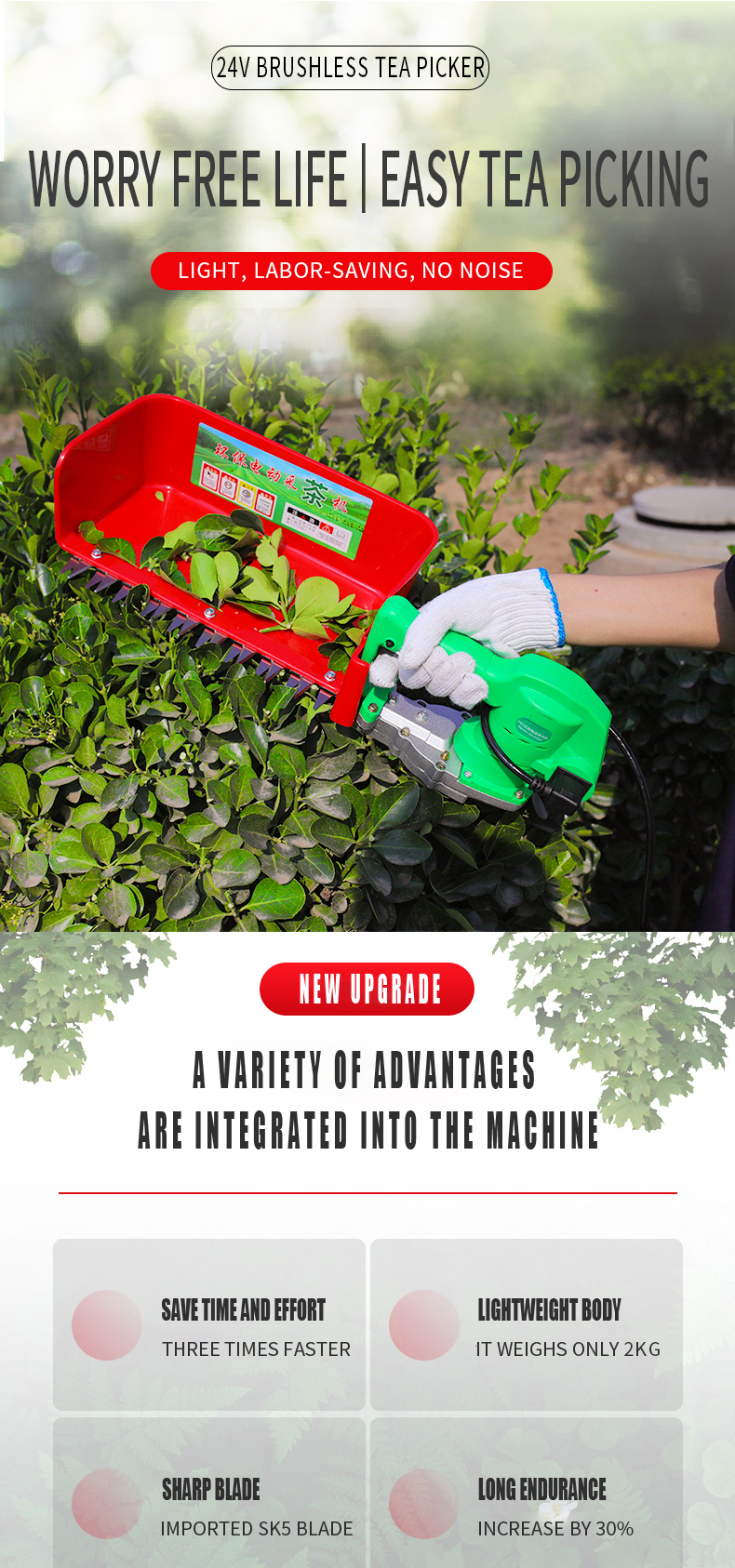 Tea Pluck Machine Professional Tea Picking Machine Tea Leaf Picker With Lithium Battery ...