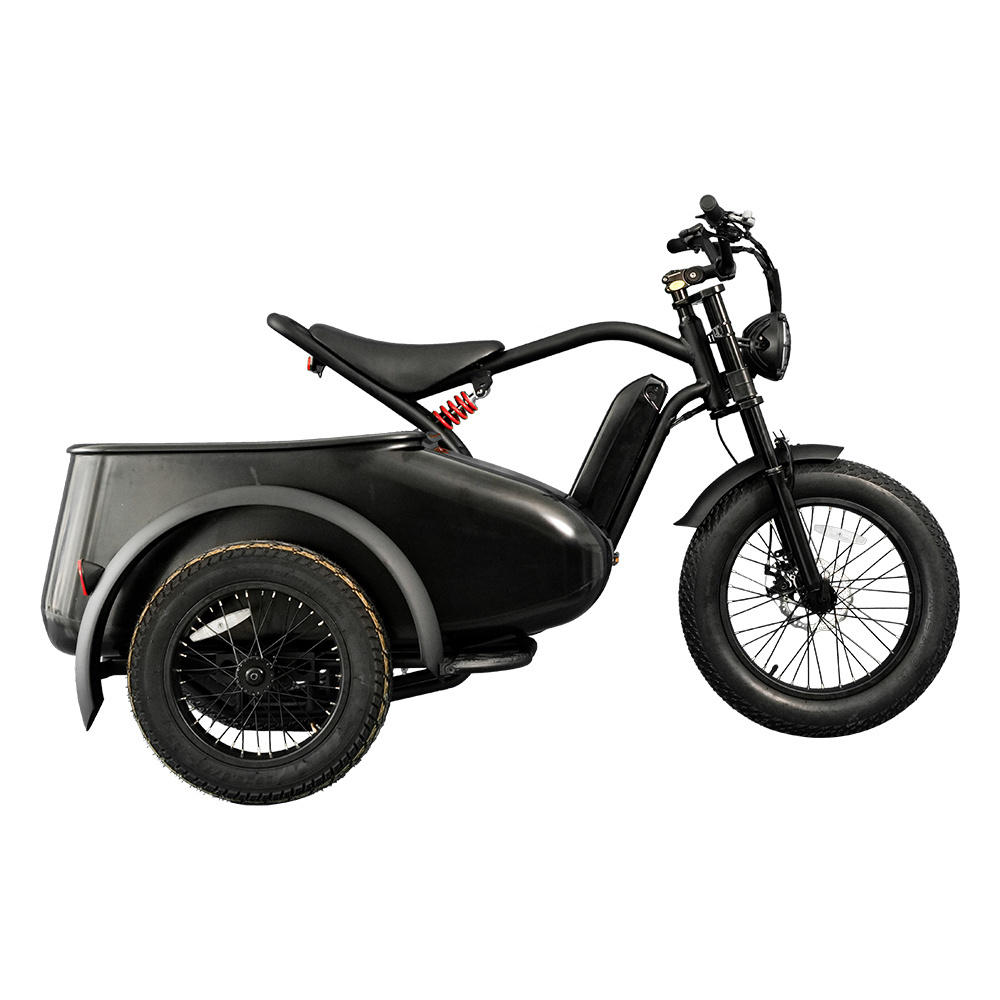 Electric bike bicycle cargo electric e-bike side car electric freight energy saving bicycle mountain ebike