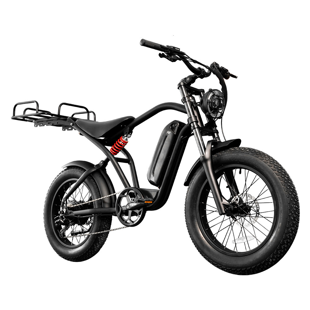 Electric bike bicycle cargo electric e-bike side car electric freight energy saving bicycle mountain ebike