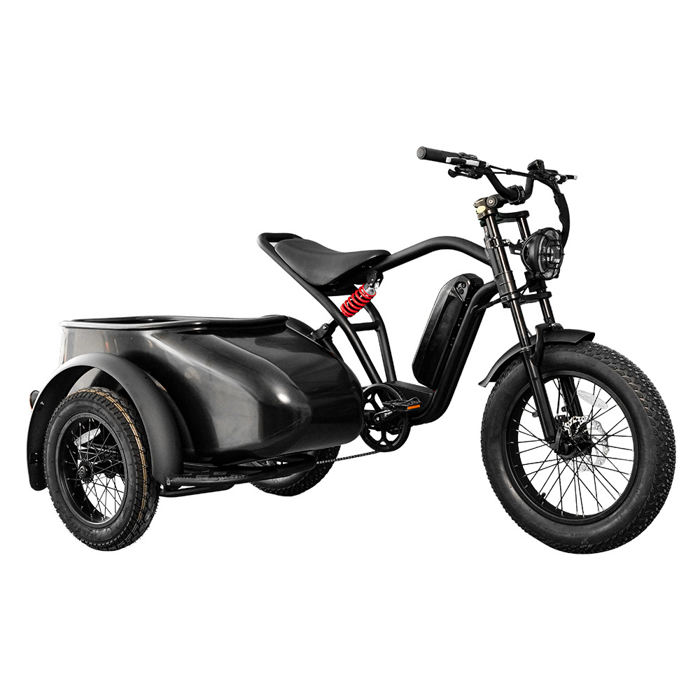 Wholesale Fat Tire 20 Inch Electric Bike Pedal Assist Trike 48v 750w with Side Car 3wheel electric bike