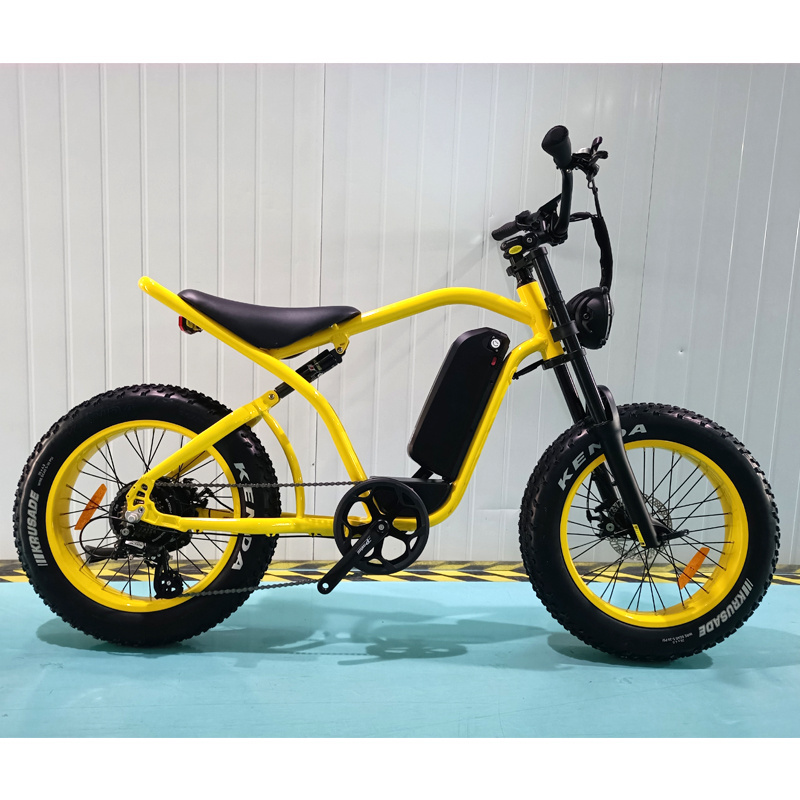 Wholesale Fat Tire 20 Inch Electric Bike Pedal Assist Trike 48v 750w with Side Car 3wheel electric bike