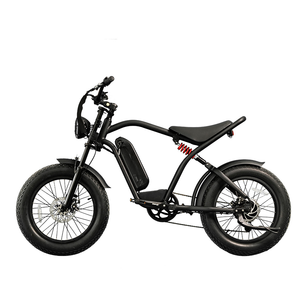 Wholesale Fat Tire 20 Inch Electric Bike Pedal Assist Trike 48v 750w with Side Car 3wheel electric bike