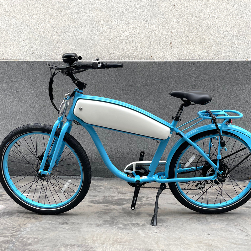 Factory Good Quality 26 inch electric city bike 250w cargo sidecar assist ebike popular in Europe