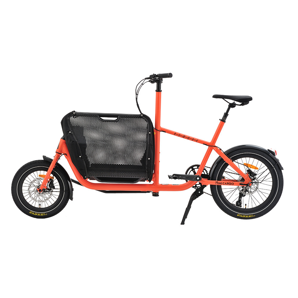 2 Wheels Electric Cargo Bike Family Bicycle Electric Hybrid City Road e Bike Pets ebike Cargo delivery