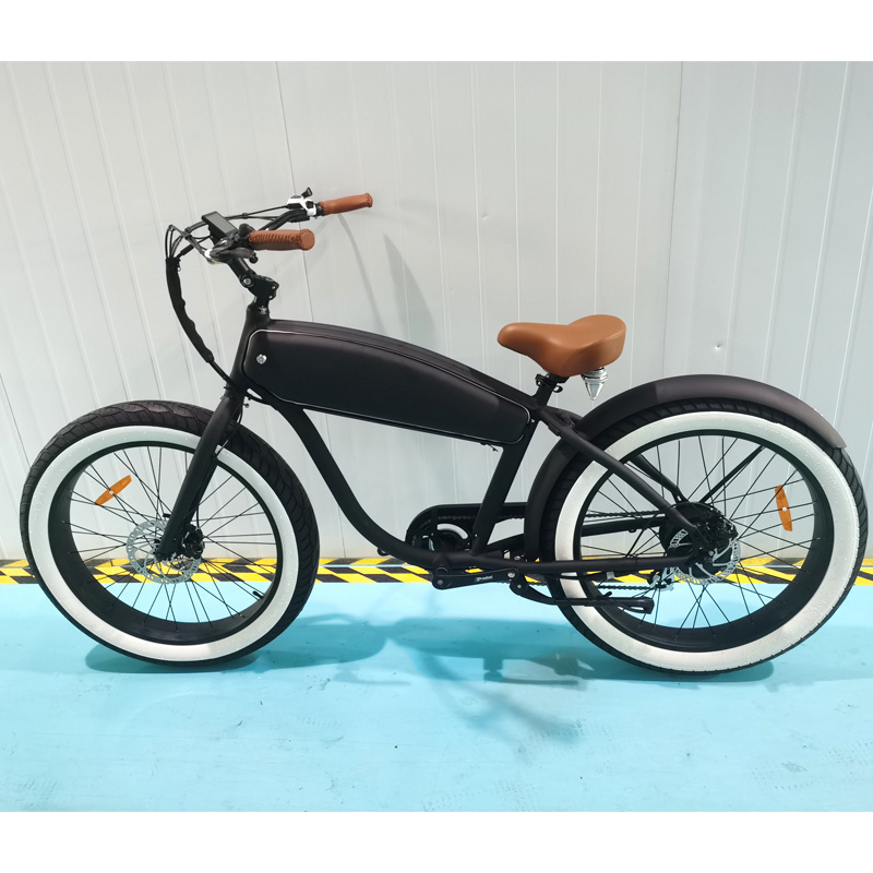 Factory Good Quality 26 inch electric city bike 250w cargo sidecar assist ebike popular in Europe