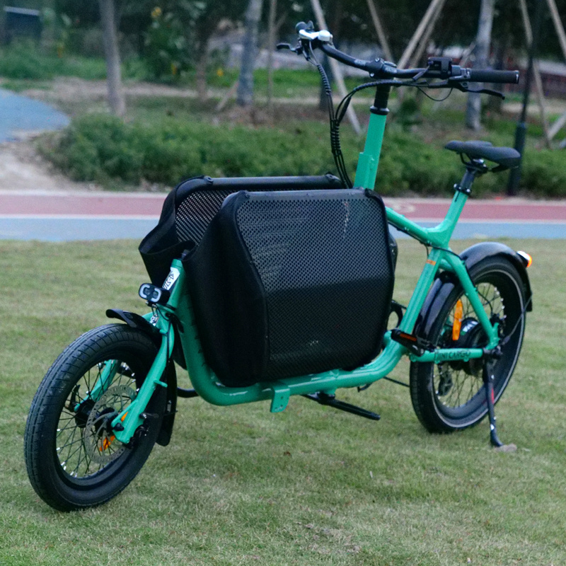 Family Two Wheel Bicycle Long tail Lithium Battery Cargo Bike Electric Delivery Electric Cargo Bike