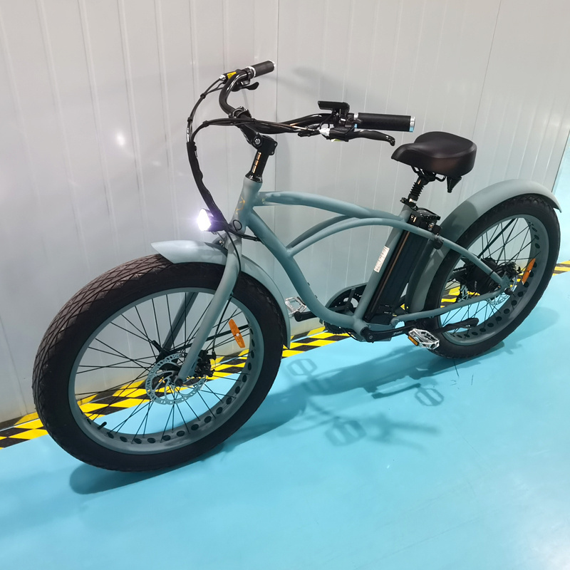 Electric Bike 3 Wheel Pedal Assist Bike Sidecar to Carry Pets Electric Fat Tire Tricycle