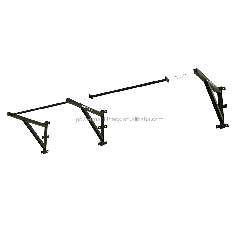 Wall Mounted Pull Up Bar