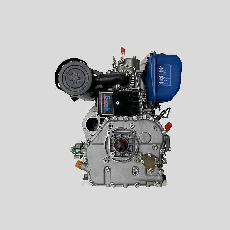 Changzhou Factory electric start D11000E 10hp 15hp 20hp 695mL 3600rpm diesel engine with spline shaft