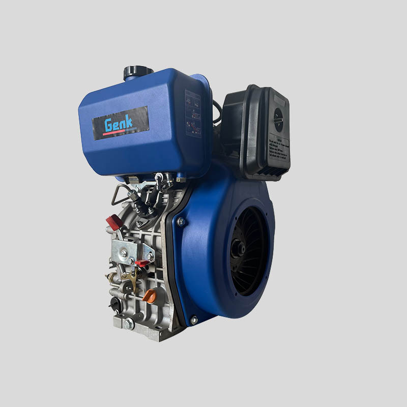 Changzhou Factory electric start D11000E 10hp 15hp 20hp 695mL 3600rpm diesel engine with spline shaft