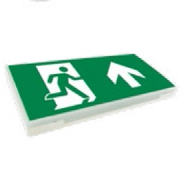 Custom High Quality Exit Sign /Emergency Lights Red