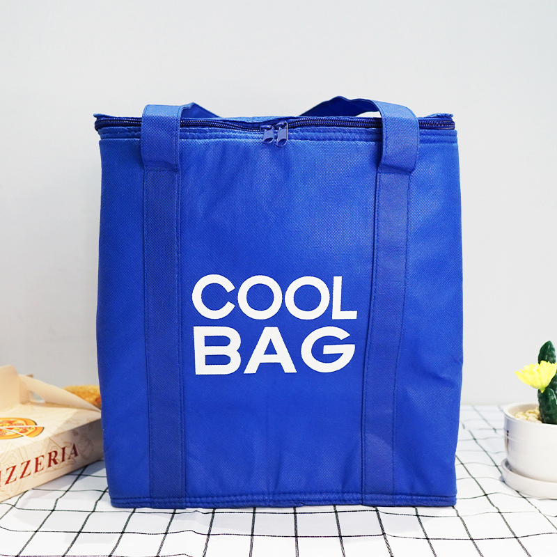 Custom Printing Blue Color Non Woven Cooler Bag Insulated