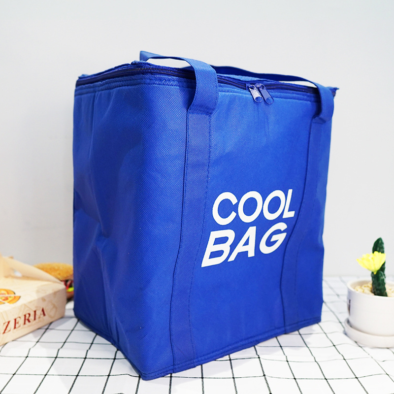 Custom Printing Blue Color Non Woven Cooler Bag Insulated