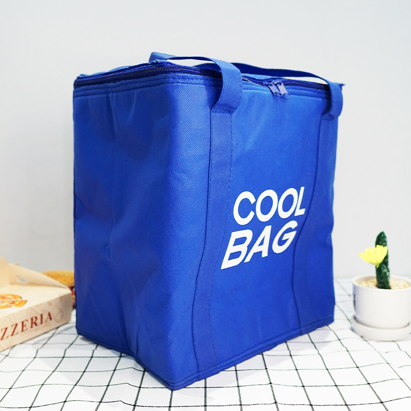 Custom Printing Blue Color Non Woven Cooler Bag Insulated