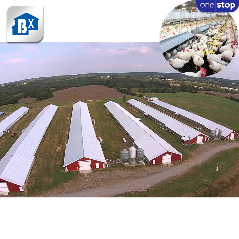 ONE-STOP Service Agricultural Poultry Farming Equipments , Poultry Breeding Houses Chicken Farm Egg Belts For Poultry Farm