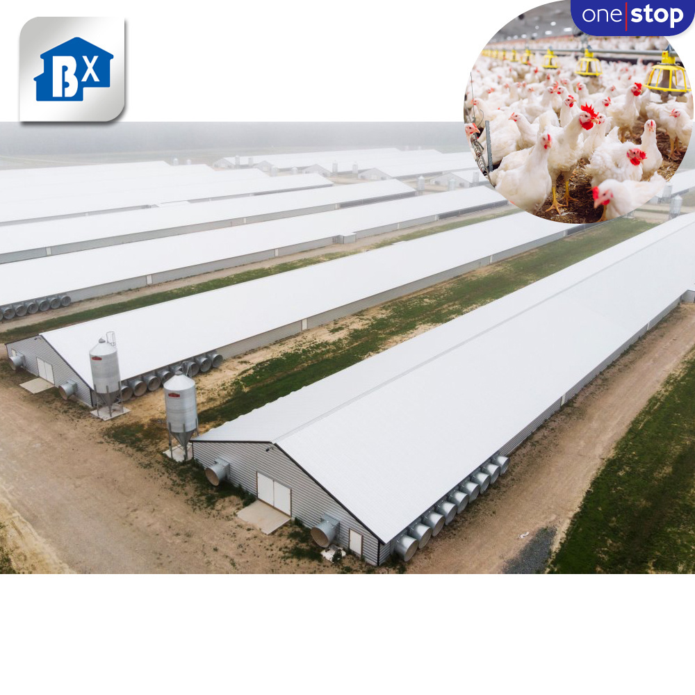 ONE-STOP Service Agricultural Poultry Farming Equipments , Poultry Breeding Houses Chicken Farm Egg Belts For Poultry Farm