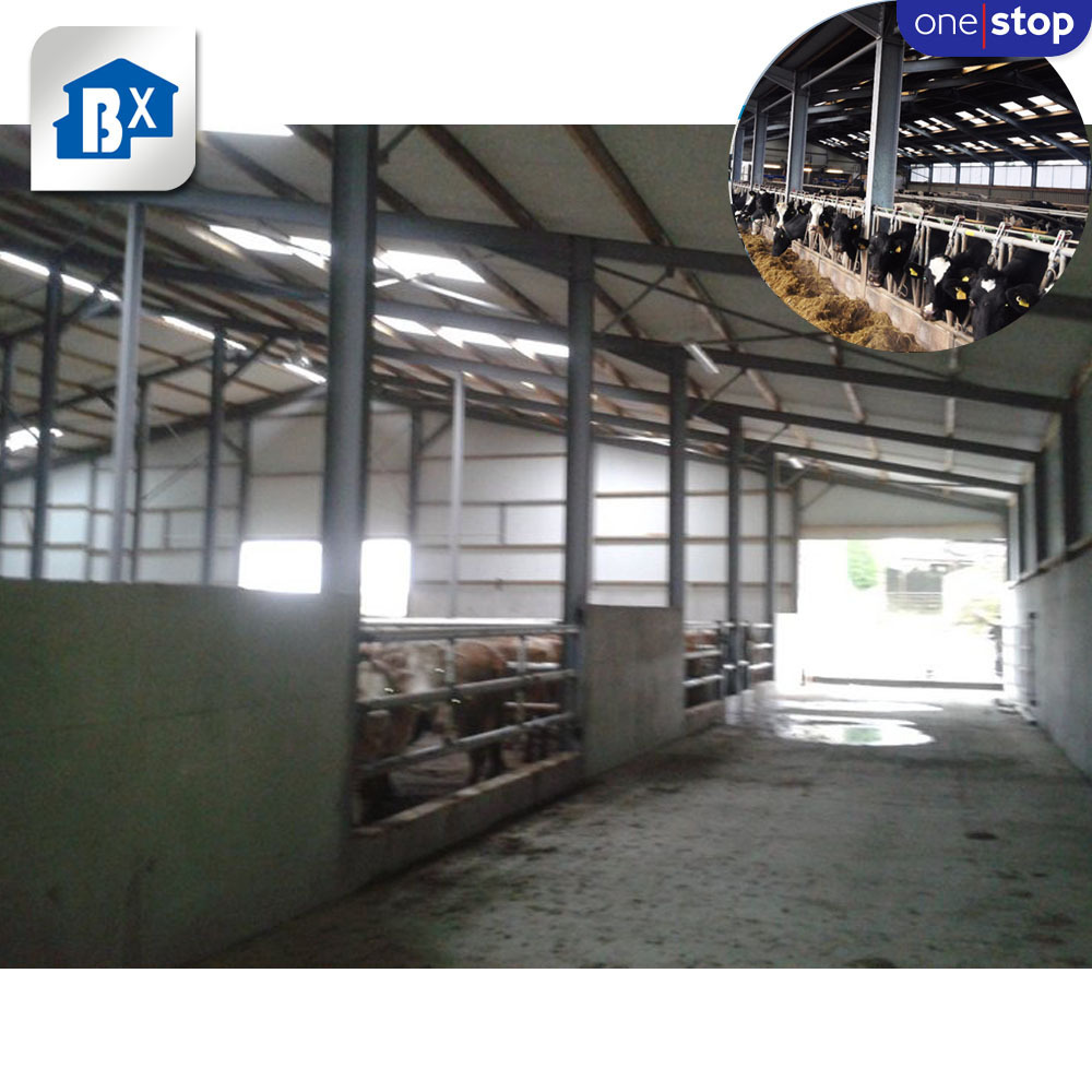 ONE-STOP Service Portable Cow Run In Shed , Dairy Farming Shed Design Cow , Dairy Cow Shed Building Cattle