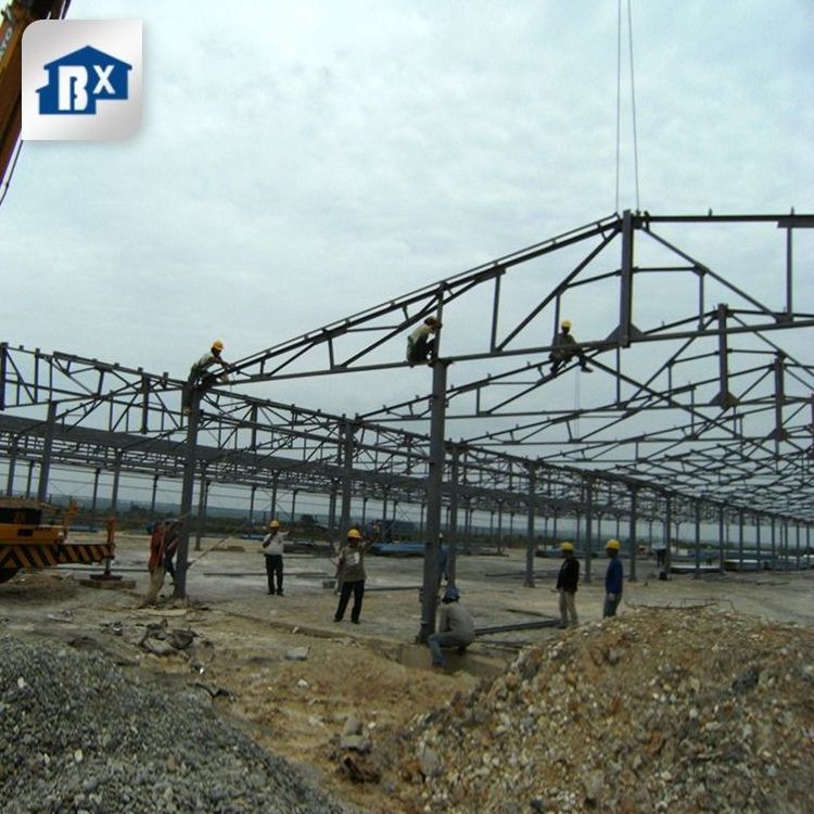 Prefabricated Metal Steel Structure Shed Agriculture Farm Warehouse Workshop For Chicken Farm