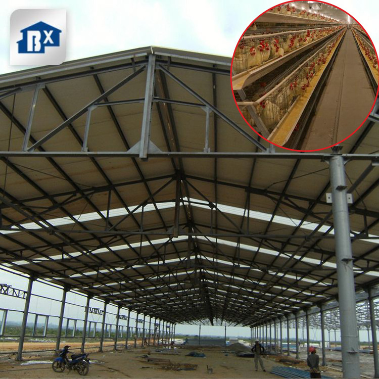 Prefabricated Metal Steel Structure Shed Agriculture Farm Warehouse Workshop For Chicken Farm