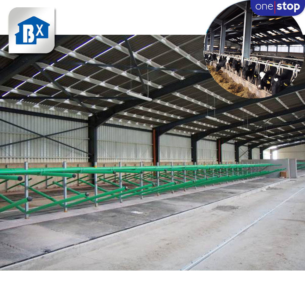 ONE-STOP Service Portable Cow Run In Shed , Dairy Farming Shed Design Cow , Dairy Cow Shed Building Cattle