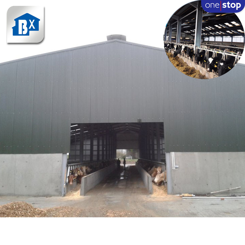 ONE-STOP Service Portable Cow Run In Shed , Dairy Farming Shed Design Cow , Dairy Cow Shed Building Cattle