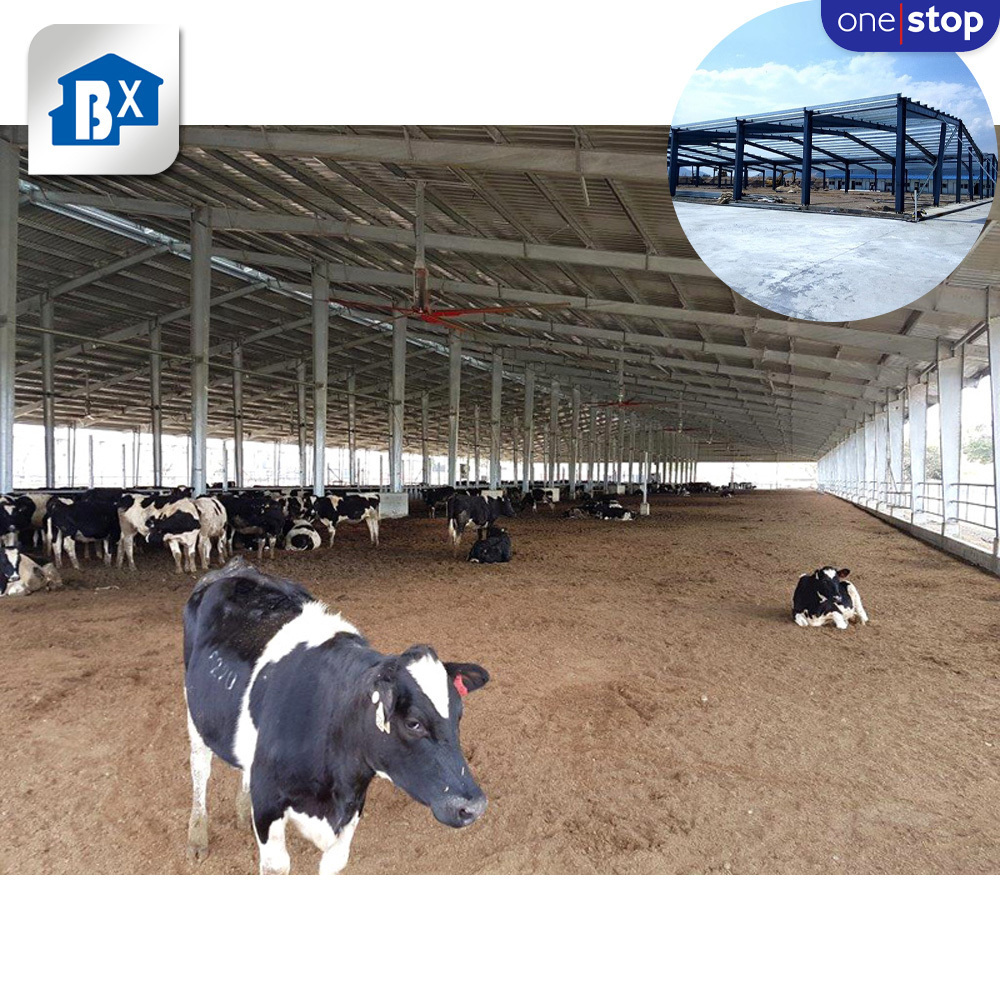 ONE-STOP Farm Shed Steel Structure , Prefabricated Steel Shed For Farm , Cow Poultry Goat Sheep Shed