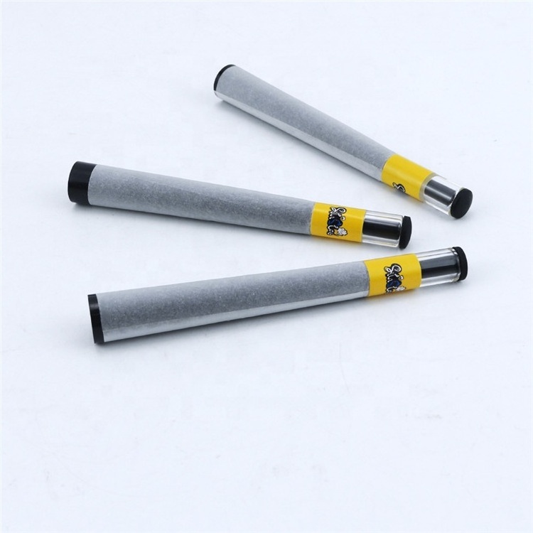 Bulk Cheap Price Kingsize Plastic Holder Pre Rolled Tube Smoking Accessories Cigarette Paper Wrap Glass Filter Tip with Logo