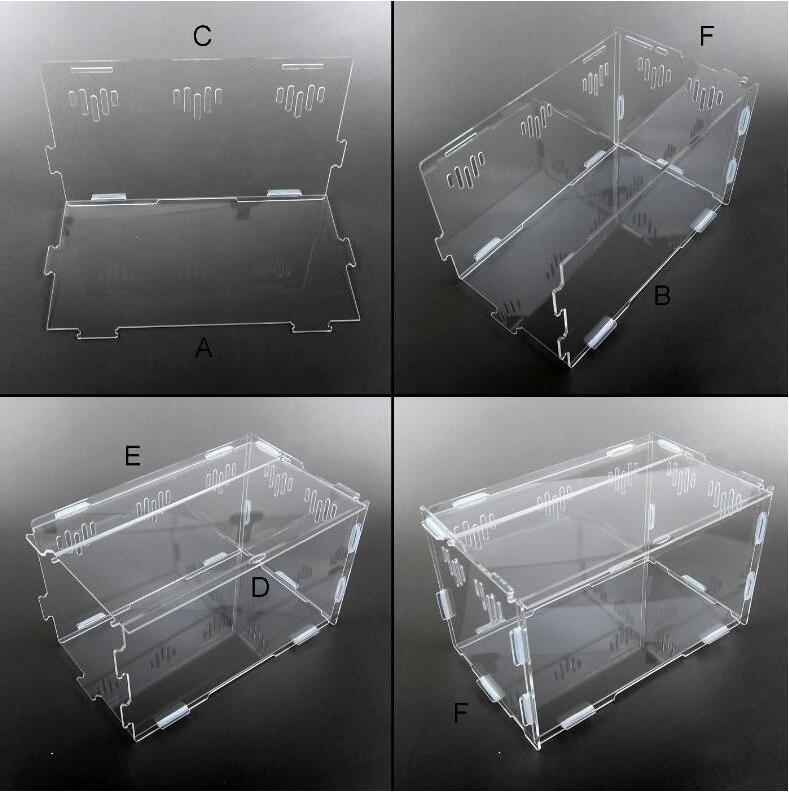 Custom Acrylic Countertop Spiders Scorpions Snakes Cage Box Animal Reptile Pet Display Terrarium