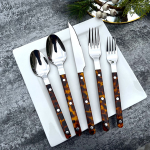 New Arrival Elegant 304 Steel Cutlery Set of 5 Pieces Clear Acrylic 3 Rivets Tortoise Shell Flatware