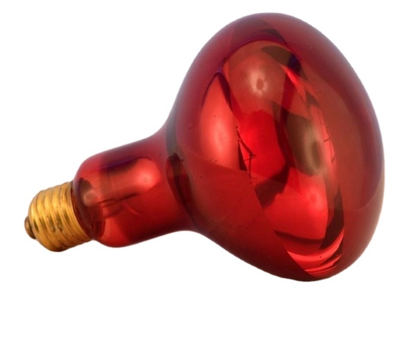 fluorescent lamp reptile daylight/rednight bulbs for tropical reptile