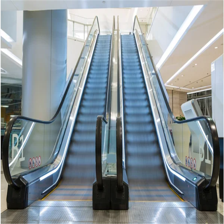 Escalator Moving-Walk Outdoor Indoor Mall Escalator price