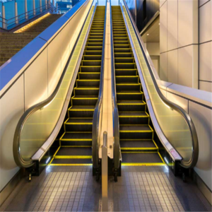 Escalator Moving-Walk Outdoor Indoor Mall Escalator price