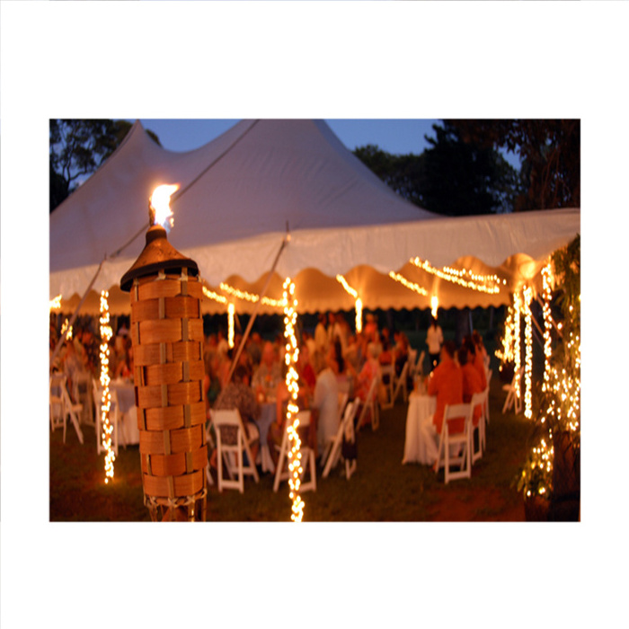 20 x 20/24/30, 30 x 10/30/40/50, 40 x 40/60/80 canopy event outdoor party wedding tent for sale