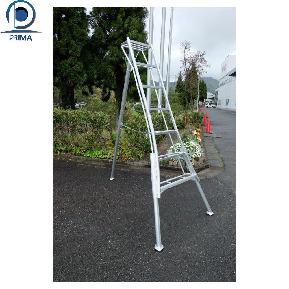 PRIMA Ladder High Quality Swimming Pool Stainless Steel Ladder For Sale