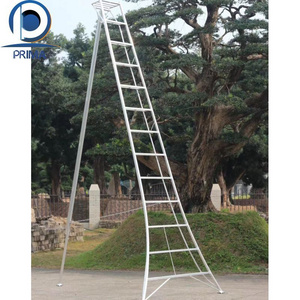 PRIMA Aluminum A-frame Folding Double Telescopic Ladder