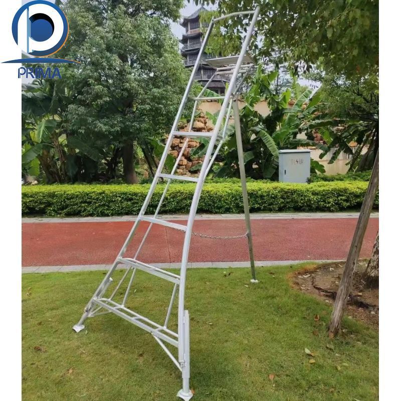 PRIMA Aluminum A-frame Folding Double Telescopic Ladder