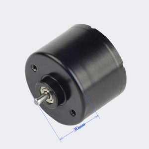 PrimoPal Customized 12v 5w 5000 6000rpm High Speed Electric Mini Brushless Motors for Sale