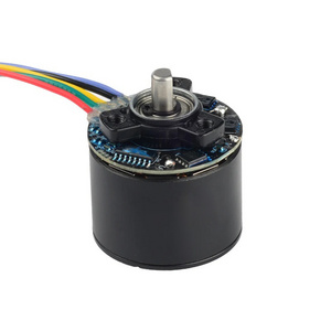 PrimoPal Customized 12V 24V 35W 40W 50W 30000rpm 3536 High Torque Outrunner BLDC Motor for Sale