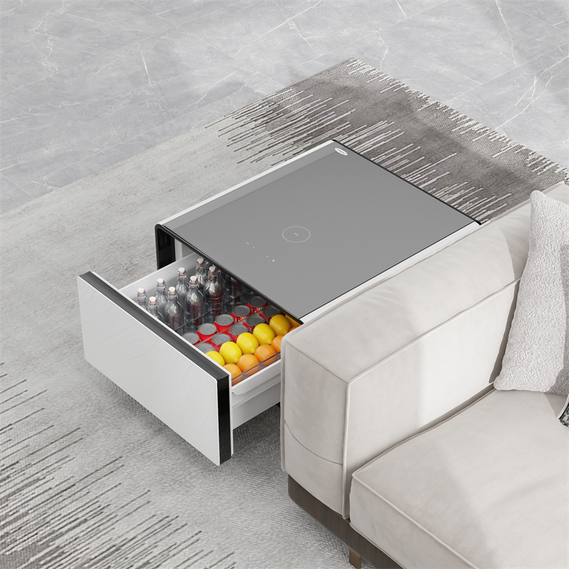 Home Furniture For Mini Fridge Sofa Side Cabinet TB65 Coffee Tables Refrigerator with Wireless Charging Smart Coffee Table