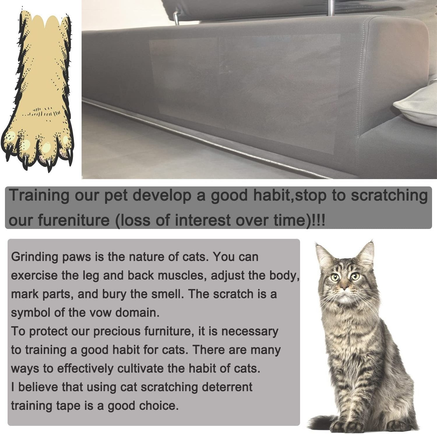 Furniture Protectors from Cats Scratch Anti Cat Scratch Furniture Protector Couch Guards for Cats