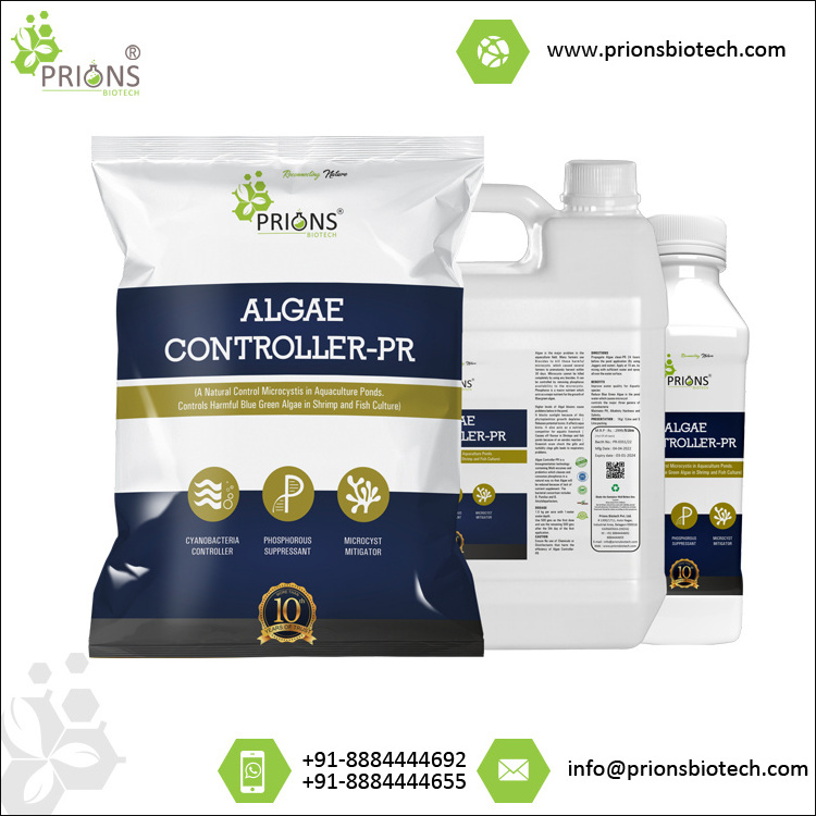 Algae in Pond Water Reduce Blue Green Algae Controller-PR Feed Additives Aquaculture Probiotics for Sale